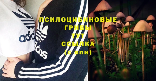 каннабис Алексин