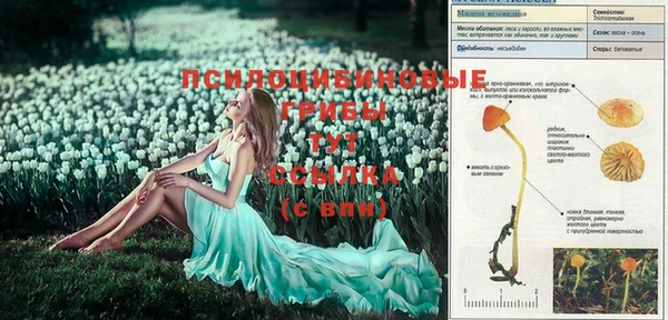 каннабис Алексин